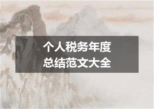 个人税务年度总结范文大全