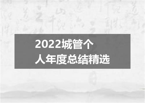 2022城管个人年度总结精选