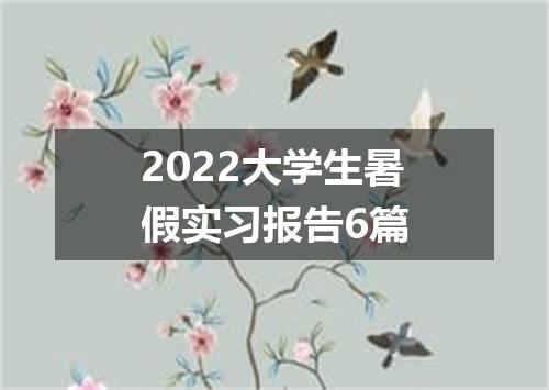 2022大学生暑假实习报告6篇