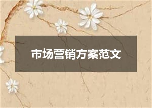 市场营销方案范文