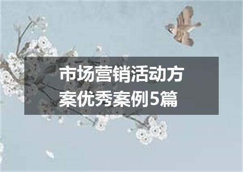 市场营销活动方案优秀案例5篇