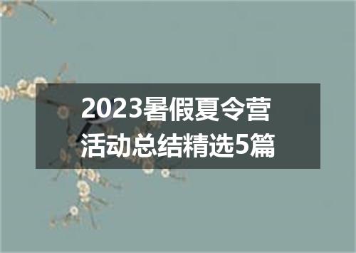 2023暑假夏令营活动总结精选5篇
