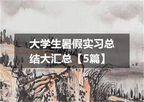 大学生暑假实习总结大汇总【5篇】