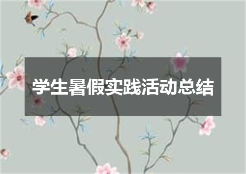 学生暑假实践活动总结