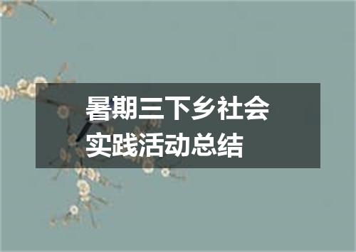 暑期三下乡社会实践活动总结