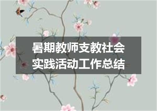暑期教师支教社会实践活动工作总结