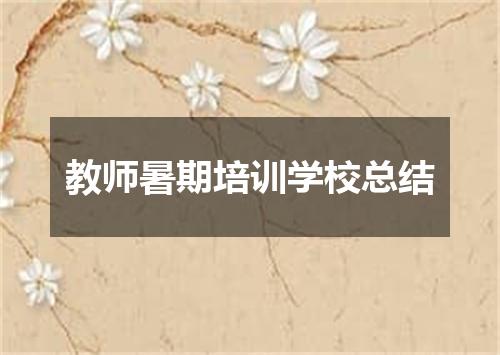 教师暑期培训学校总结