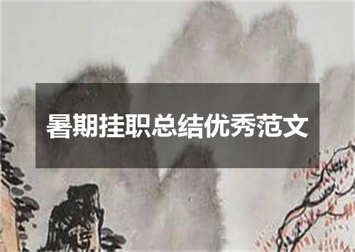 暑期挂职总结优秀范文