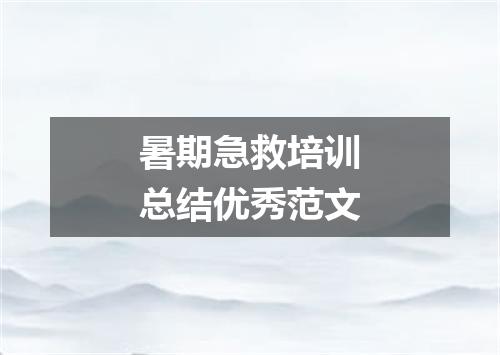 暑期急救培训总结优秀范文