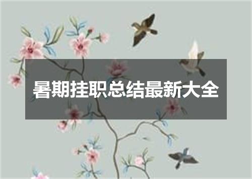 暑期挂职总结最新大全