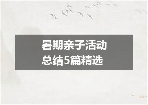 暑期亲子活动总结5篇精选