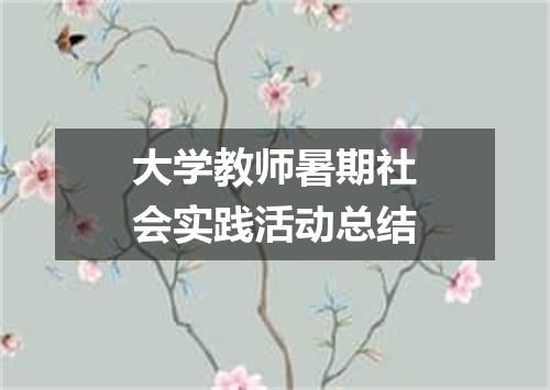 大学教师暑期社会实践活动总结