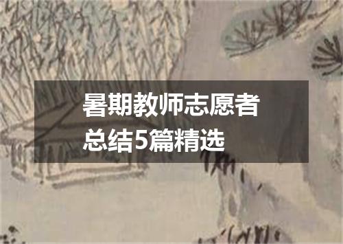 暑期教师志愿者总结5篇精选