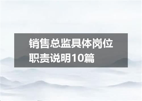 销售总监具体岗位职责说明10篇