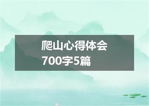 爬山心得体会700字5篇