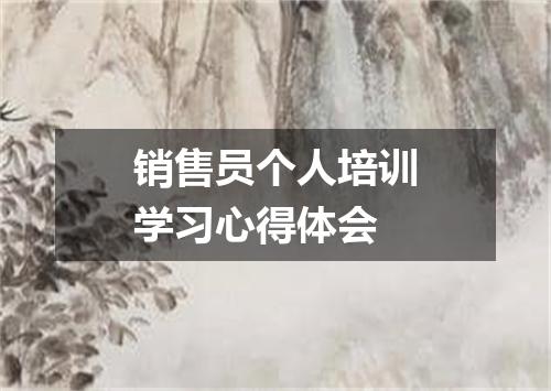 销售员个人培训学习心得体会