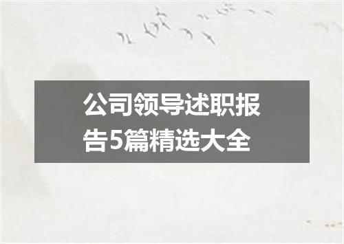 公司领导述职报告5篇精选大全