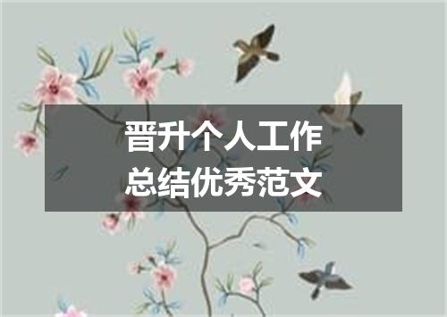 晋升个人工作总结优秀范文