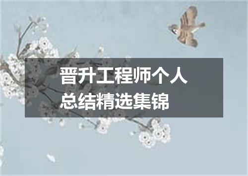 晋升工程师个人总结精选集锦