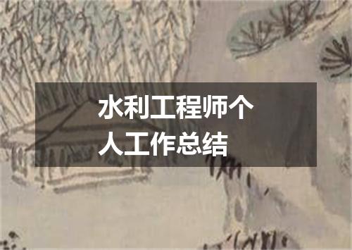 水利工程师个人工作总结