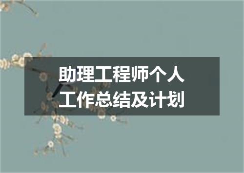 助理工程师个人工作总结及计划