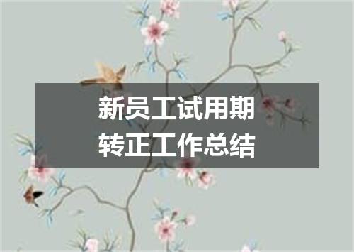 新员工试用期转正工作总结
