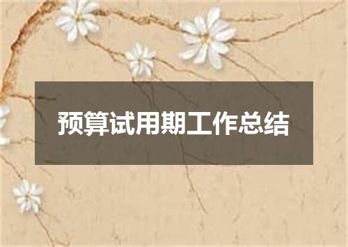 预算试用期工作总结