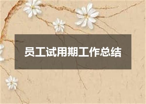员工试用期工作总结