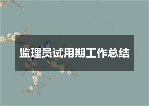 监理员试用期工作总结