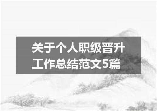 关于个人职级晋升工作总结范文5篇