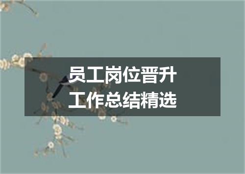 员工岗位晋升工作总结精选