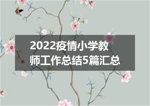 2022疫情小学教师工作总结5篇汇总