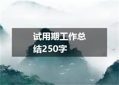试用期工作总结250字