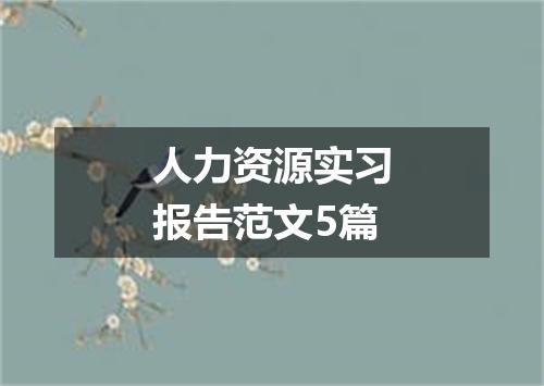 人力资源实习报告范文5篇