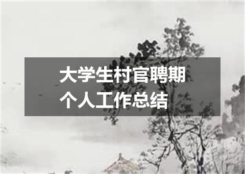 大学生村官聘期个人工作总结