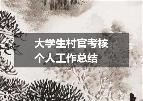 大学生村官考核个人工作总结