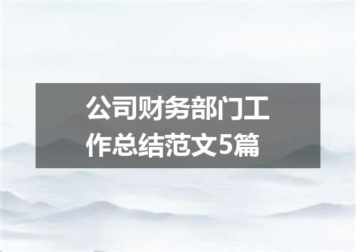 公司财务部门工作总结范文5篇
