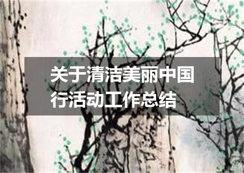 关于清洁美丽中国行活动工作总结