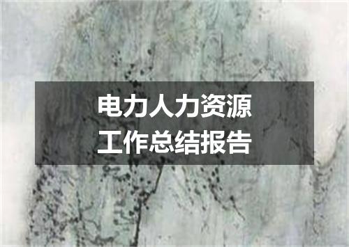 电力人力资源工作总结报告