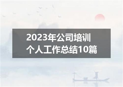 2023年公司培训个人工作总结10篇