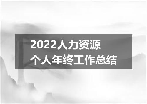 2022人力资源个人年终工作总结