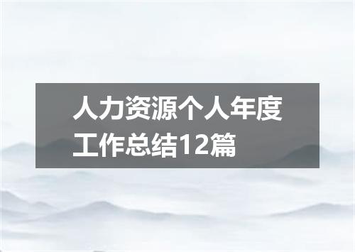 人力资源个人年度工作总结12篇