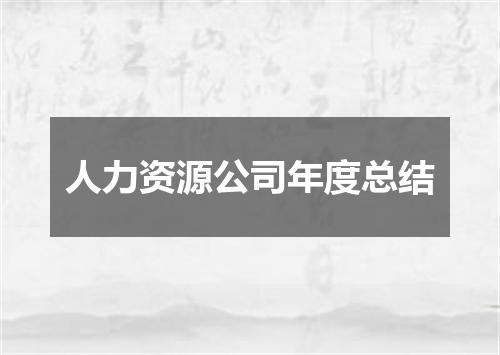 人力资源公司年度总结