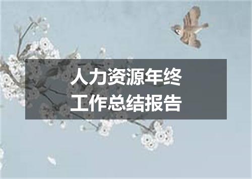 人力资源年终工作总结报告