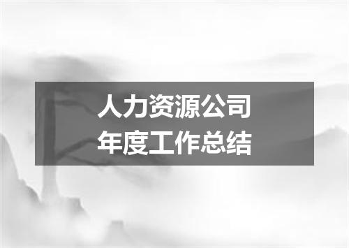 人力资源公司年度工作总结