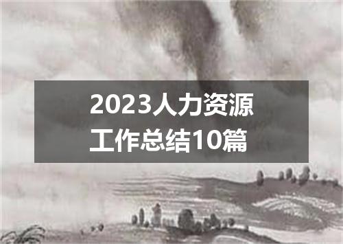 2023人力资源工作总结10篇