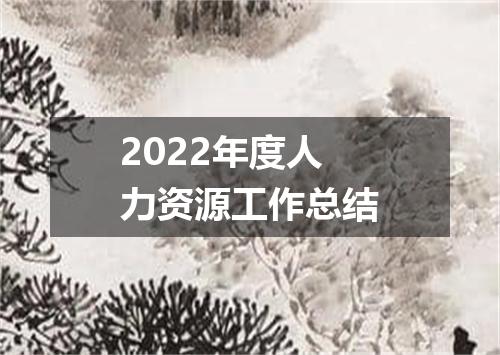 2022年度人力资源工作总结
