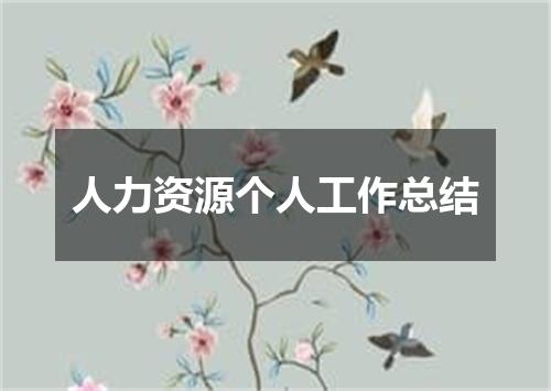 人力资源个人工作总结