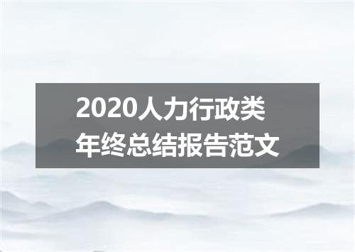 2020人力行政类年终总结报告范文