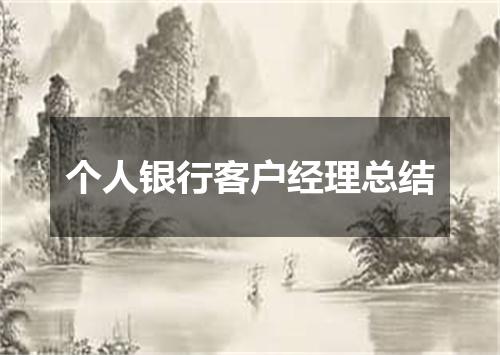 个人银行客户经理总结